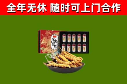 多伦县烟酒回收冬虫夏草礼盒.jpg
